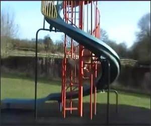 Dog Playing on Slide Funny Video