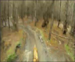 Downhill Runner Dog Video