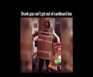 drunk guy cannot get out of a cardboard box Funny Video