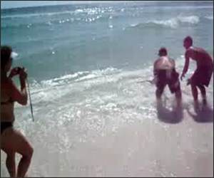 Shark with Bare Hands