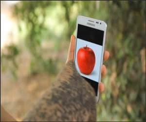 Elephant Smart Phone Funny Video