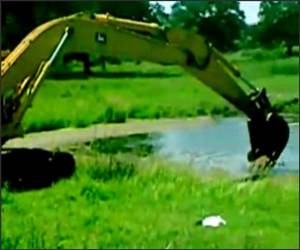 Excavator Pond Swinger Video