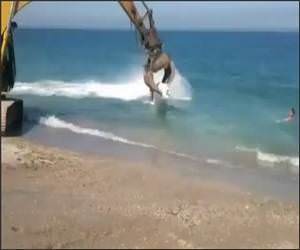 Excavator Surfing Video