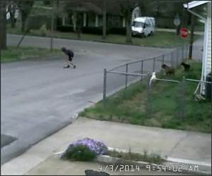 Fed Ex Truck Delivery Video