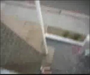 Flagpole Idiot Funny Video