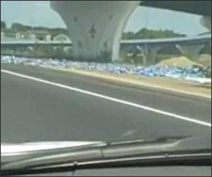 Free Bud Light Funny Video