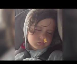 goldfish in his nose Funny Video