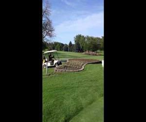 golf cart jumps Funny Video