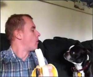 Sharing his Banana Video