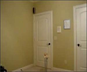 Hand Stand Cool Video