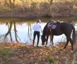horses first time in water Funny Video