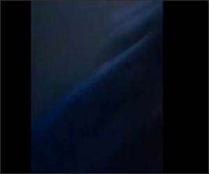 How to Unblock a Toilet Funny Video