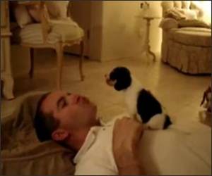 Adorable Howling Puppy Video