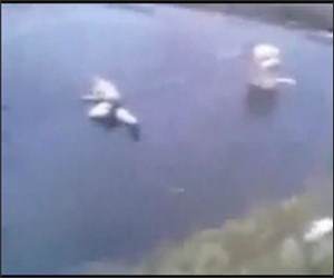 Tough Ice Diving Funny Video