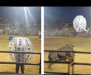 inflatable bubbles bull toss Funny Video