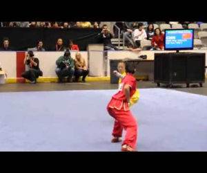 insane wushu championship Funny Video