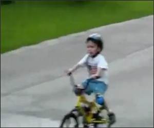Kid Bikes into Tree Funny Video