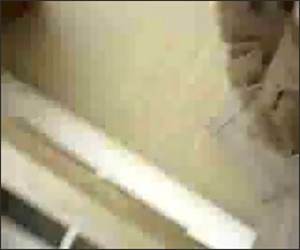 Leaf Blower Man Funny Video