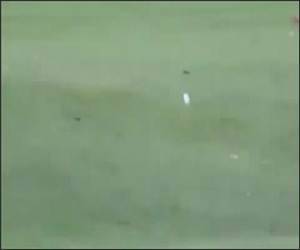 Long Snap Trick Shots Funny Video