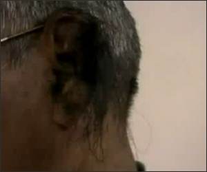 Longest Ear Hair Record