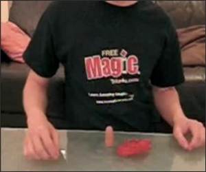Magic Tricks Exposed Funny Video
