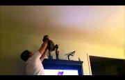 man and cat team up to catch a bug Funny Video