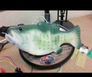 man hacks alexa Funny Video