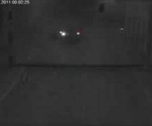 Security gate Funny Video