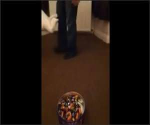 Mission Impossible Baby Funny Video