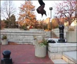 Nice Jumping Funny Video