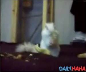 Nutty Nut eater Funny Video