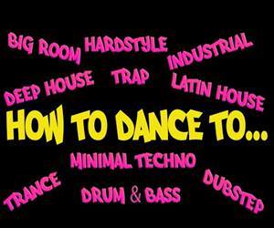 parrots dancing to dubstep Funny Video