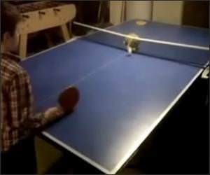 Ping Pong Kitten Funny Video
