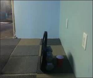 Pongs are us Funny Video