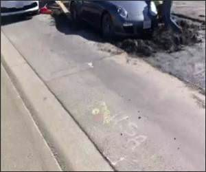 Porche Wet Cement Funny Video