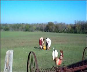 Premature Pumpkin Explosion Funny Video