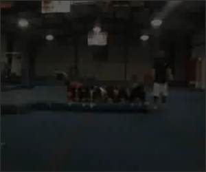 Push Flip Training  Funny Video