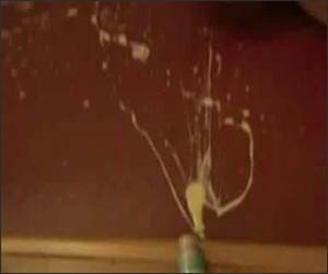 Ranch Dressing Experiment Funny Video