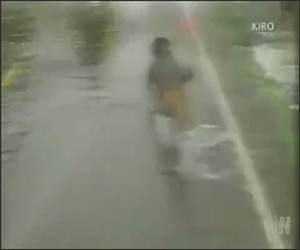 Salmon Fishing Dog Funny Video