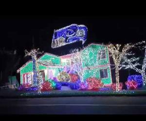 seahawks fan christmas lights Funny Video