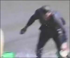 Sheep Vs Fisherman Funny Video