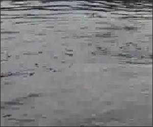 Propane Tank Shooting