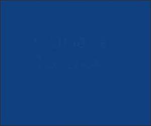 Shoplifting Seagull Funny Video