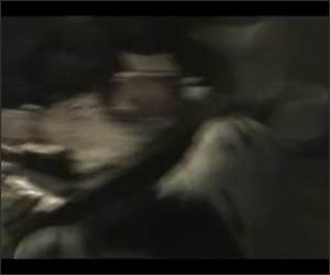 Singing Dog Funny Video