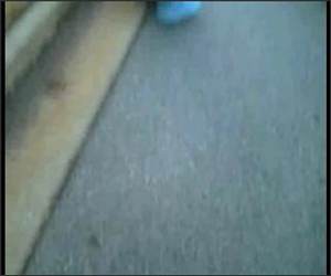 Skateboard to the Junk Funny Video