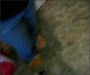  Funny Spider Cat Video