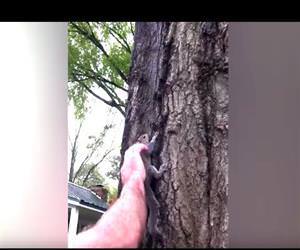 squirrel rescue gone wrong Funny Video