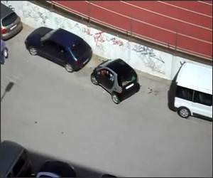 Smart Car, Stupid Driver Funny Video