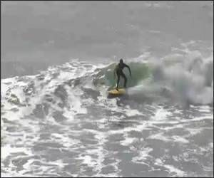 Surfing Kick Flip Funny Video