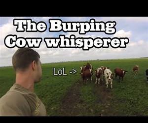 the burping cow whisperer Funny Video